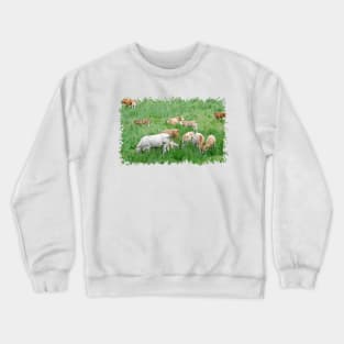 Love Cows Crewneck Sweatshirt